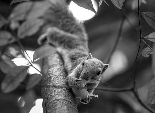 一键解决问题的短信接收平台